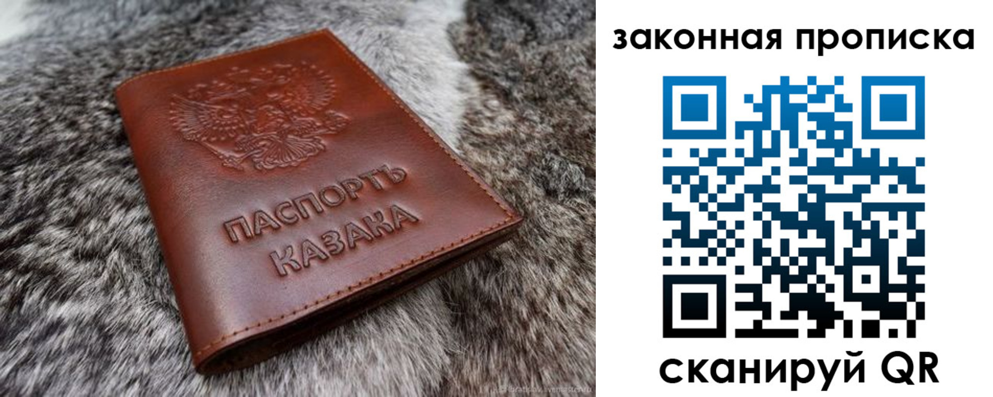 прописка в Торопеце